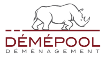 Logo Demepool